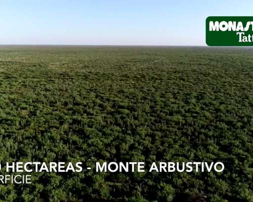 La Escandinava / Mendoza - 1000 Has.