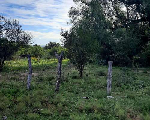Vendo Campo en San Francisco del Monte de ORO
