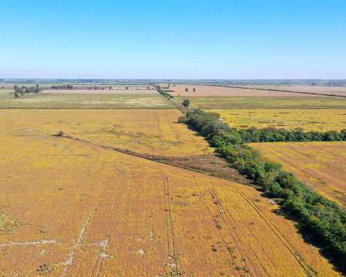 Pcia. de Santa FE - Colonia Raquel 103 Has