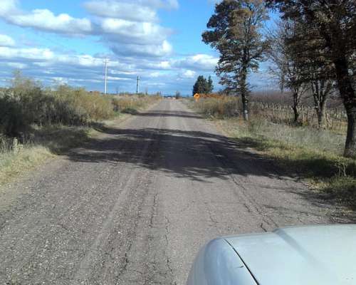 San Rafael Finca de 64 Has con Pozo Sobre Ruta 154