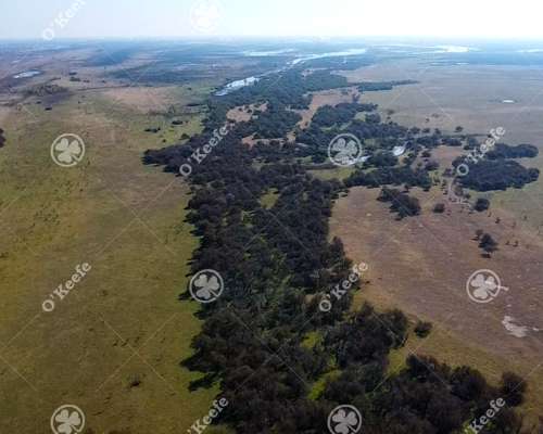 Campo en Venta de 13.747 Has. Ibicuy, Entre Rios