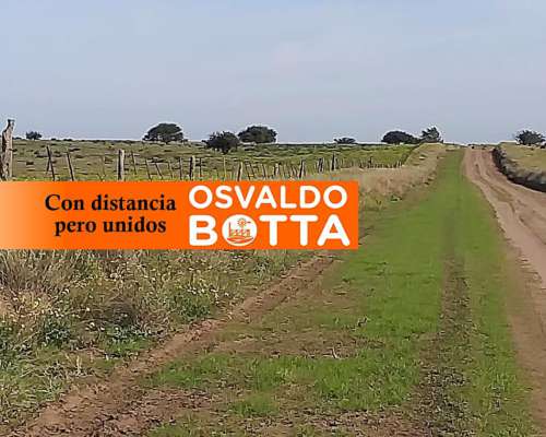 1240 Hectáreas en General San Martín, la Pampa