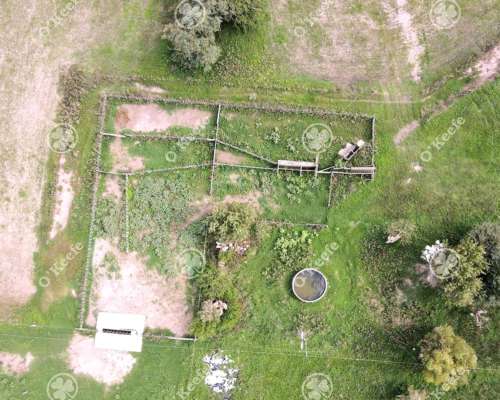 Campo Mixto en Venta 90 Has en Ranchos, con Buen Acceso
