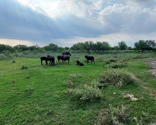 Se Venden 570 Ha Sobre Ruta 34 . a Pocos km de Rafaela