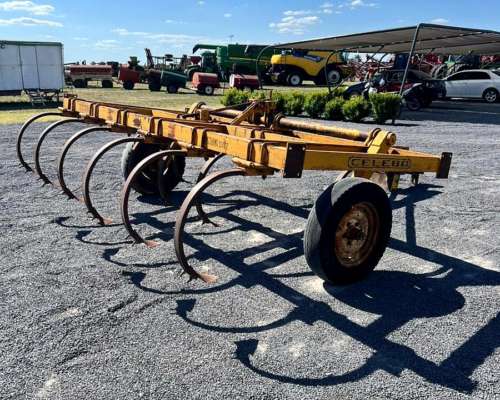 Cincel Celeba de 11 Púas