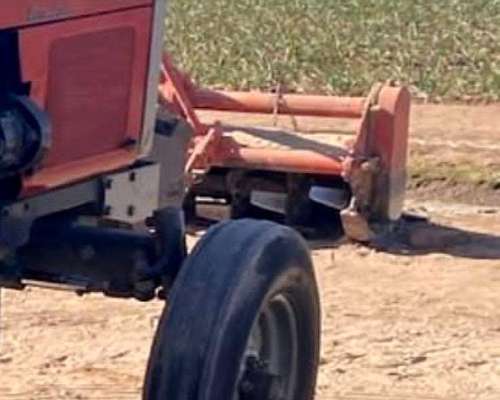 Agrícola Tractor Massey Ferguson 1499-sx