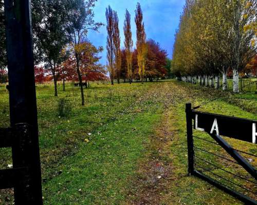 General las Heras, Buenos Aires - 36 Ha