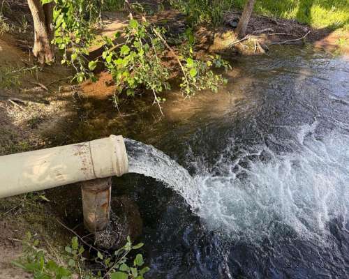 Finca Productiva con Pozo 29 Ha -san Martin - Mendoza