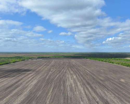 Pcia. de Entre Rios - Maria Grande 526 Has