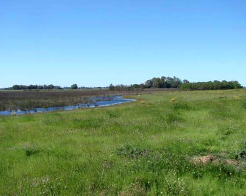 Ba3102 Venta Ganadero 220 Has Bragado, Buenos Aires