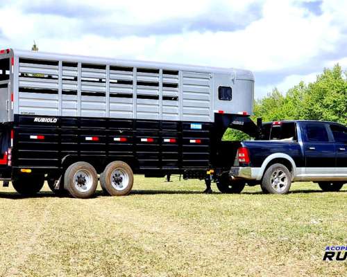 Semirremolque Homologado para Caballos Formato Americano