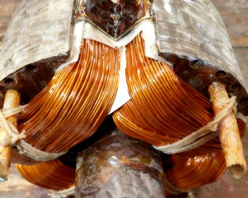 Bobinado de Grupos Electrogenos