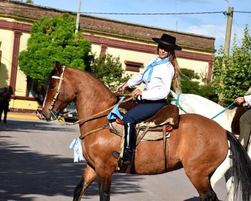 Yegua Criolla. Inscripta en Sociedad Rural Argentina