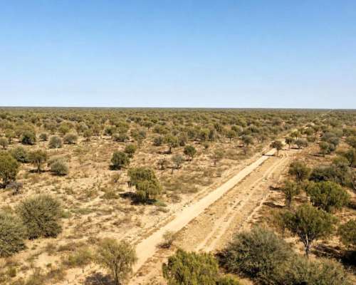 Guanaco Muerto, Cruz del Eje, Córdoba - 4.500 Ha