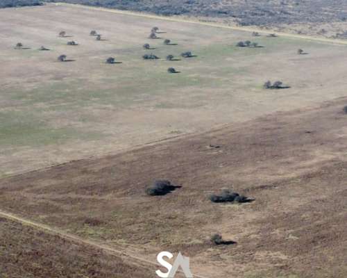 Alquila: Campo Agrícola de 1000 Ha en “EL Tala” la Pampa