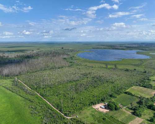 Pcia. de Corrientes - CAA Cati 520 Has