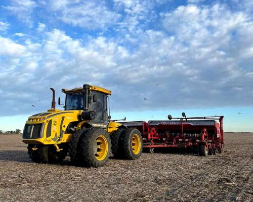 Servicios de Fertilización.siembra.fumigacion y Cosecha