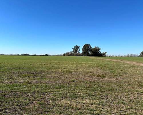 Campana, Buenos Aires - 101 Ha