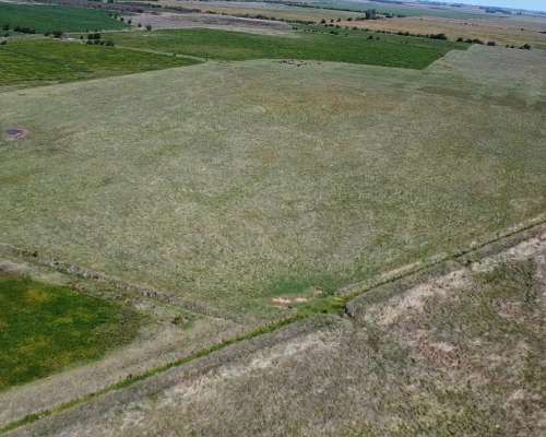 Campo Agrícola en Alquiler