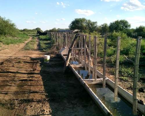 Campo Ganadero en San Luis, de Beazley. 6.000 Hectareas