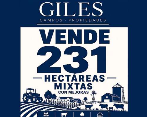 Campo Mixto 231 Hectáreas Ramallo