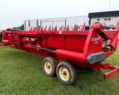 Maicero Mainero 2008 de 13 a 52