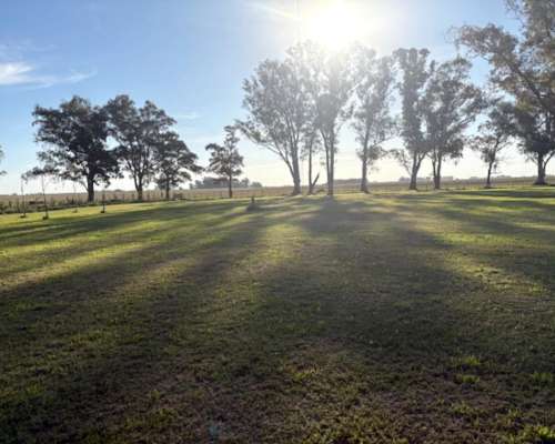 Campo de 104 , Mixto con Casa Ymejoras