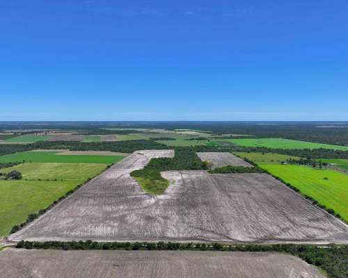 Pcia. de Entre Rios - Estacion Raices 63 Has