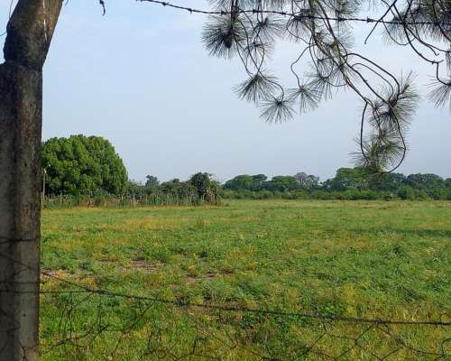 Hectareas Agricolas en Tafi Viejo Tucuman