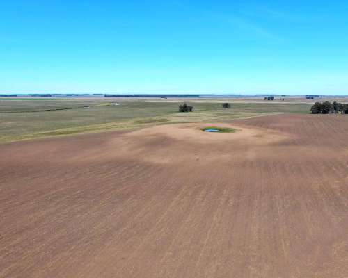 450 Has en Bolívar - BS. AS. - Mixto - Venta