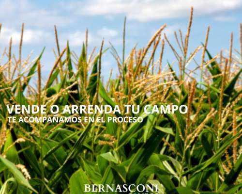 Vende o Arrenda TU Campo