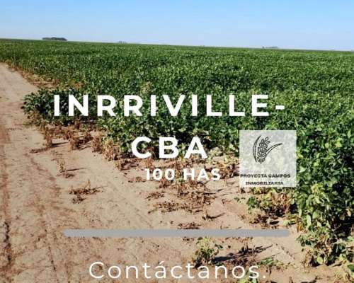 Venta - 100 Has Agricolas