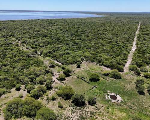 1491 Has Ganaderas de Cría - la Gallareta - Vera - Santa FE