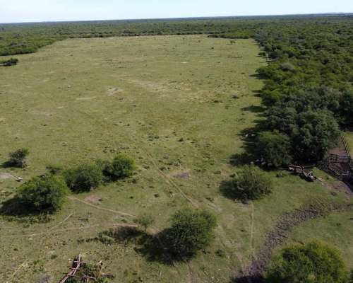 594 Has muy Buen Campo Ganadero en Venta Dpto. Federal