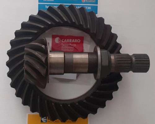 Corona y Piñon Carraro 31/10