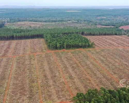 Chacra 53 Ha Tierra Colorada Limpia. Suelo 9