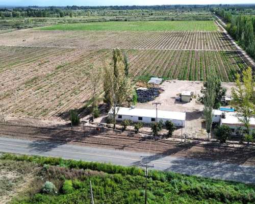 Finca con D° Riego, Pozo y Goteo. Excelente Ubicación