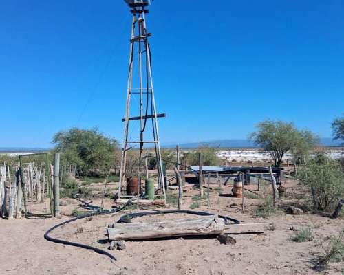 Campo Ganadero Pampas Blancas, en la Rioja, 11500 Has