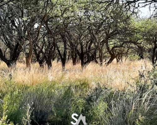 Vende: Espectacular Coto de Caza en la Pampa