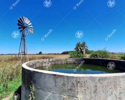 Campo Mixto en Venta 90 Has en Ranchos, con Buen Acceso