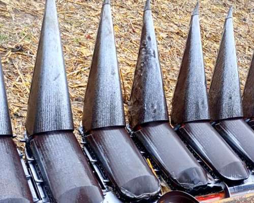 Maicero Mainero 2000, año 2008 de 11 a 52 cm