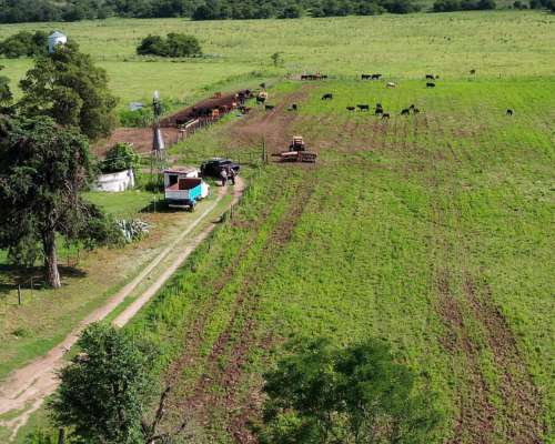 Córdoba Valle de Calamuchita San Ignacio 500 Has Ganaderas
