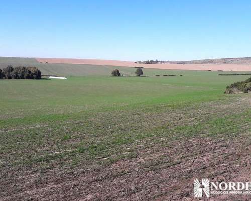 Balcarce, Buenos Aires - 118 Ha