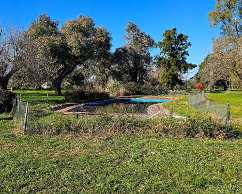 71 Has. Campo Agrícola con Mejoras y Arboleda en Torres