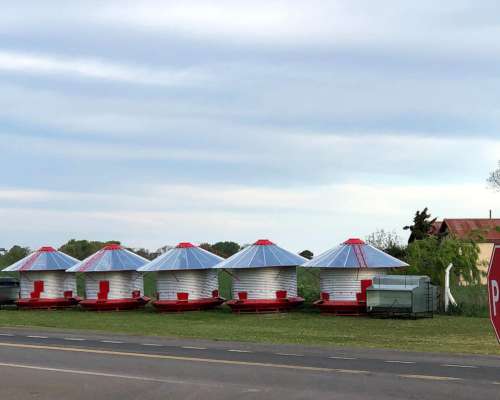 Silos Comederos de 12 TN