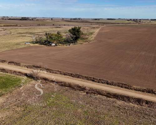 Campo Mixto. Chovet, Santa FE