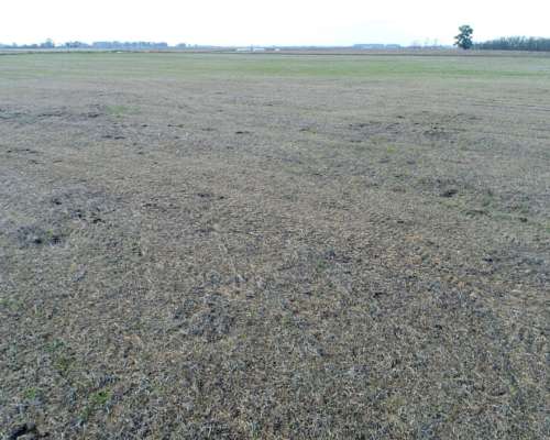 Campo en Venta en 25 de Mayo