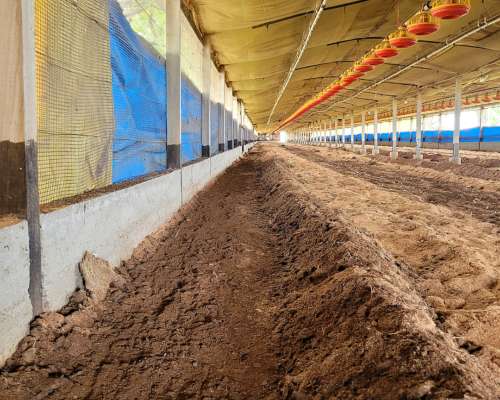 Cuchilla Niveladora LF P/ Limpieza de Galpón Avícola 3 en 1