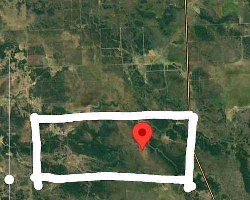 Campo Ganadero 1470 Has Pcia de la Plaza Chaco
