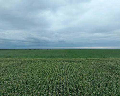 Pcia. de Catamarca - Bañado de Ovanta 437 Ha